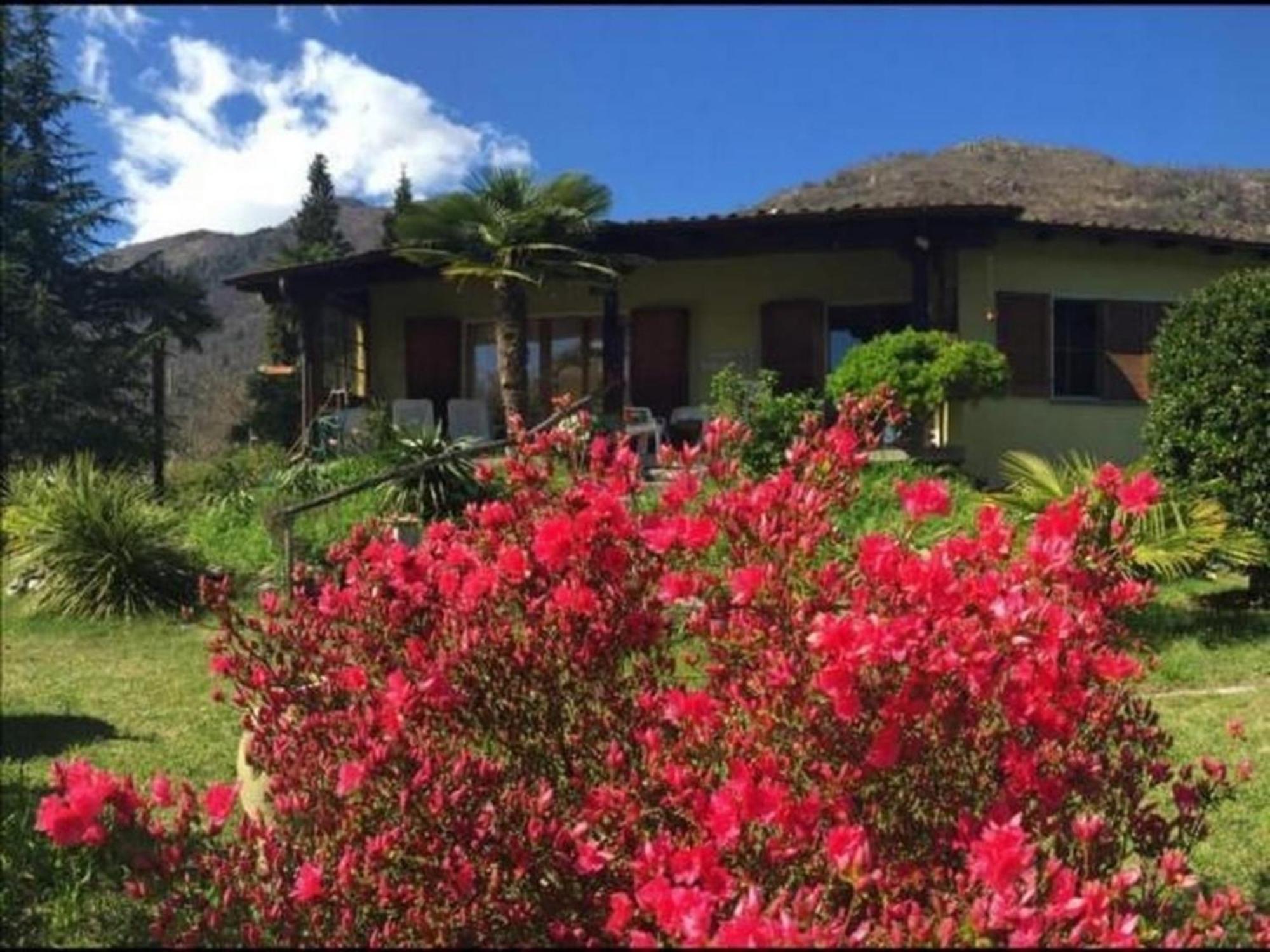 """Casa Elena -Tegna"" Die Ruheoase In Grossem Garten" Eksteriør bilde